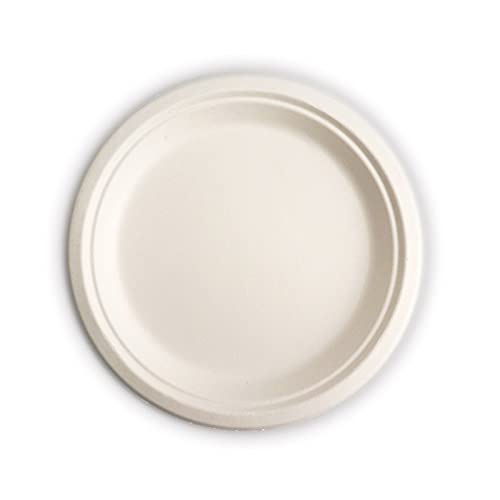 RiteEarth - 6" Bagasse Round Plates, 1000/cs - P060